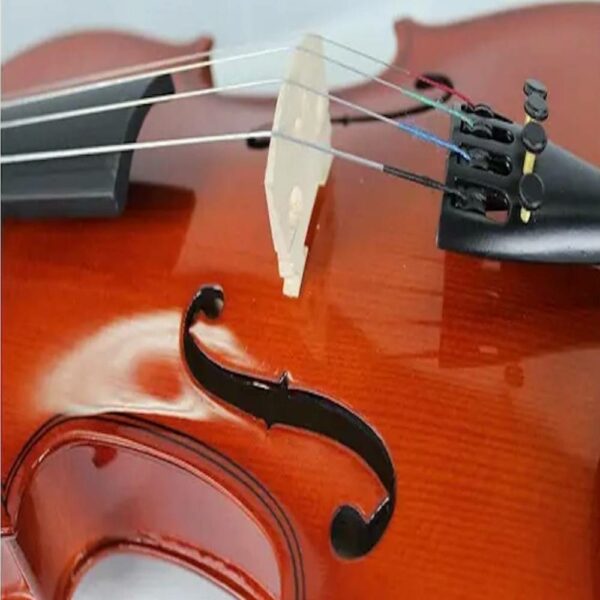 Violin For Beginners | Student Starter Violin 10