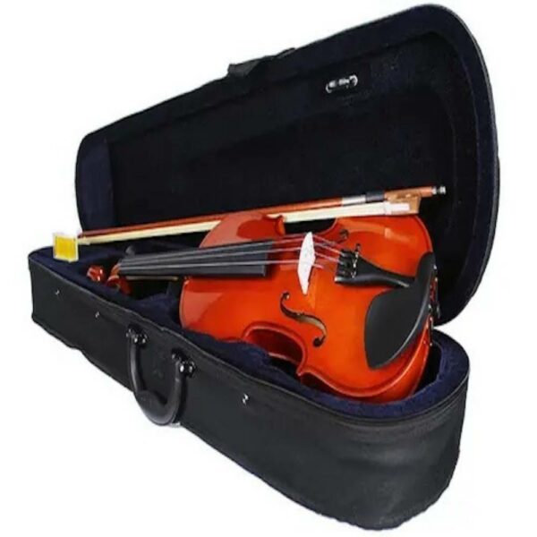 Violin For Beginners | Student Starter Violin 9