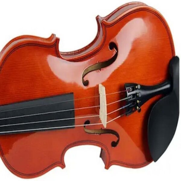 Violin For Beginners | Student Starter Violin 12