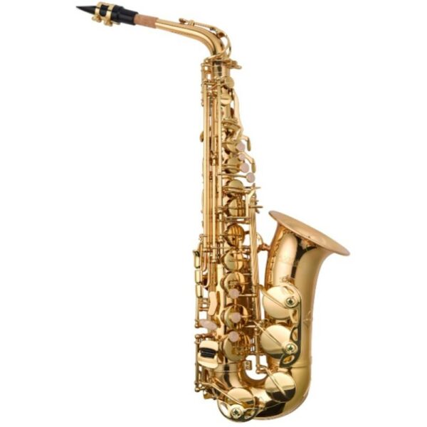Saxophone For Beginners | Student Saxophone 10