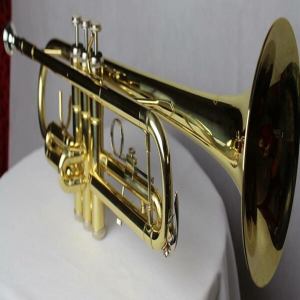 Trumpet Set for Beginner | Brass Student Trumpet Instrument 10