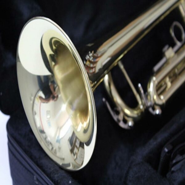 Trumpet Set for Beginner | Brass Student Trumpet Instrument 9
